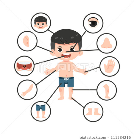 Children with different parts of the body for teaching Children with different parts of the body for teaching 111384216