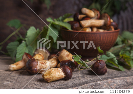 Pile of Imleria Badia or Boletus badius mushrooms commonly known as the bay bolete on vintage wooden background.. Pile of Imleria Badia or Boletus badius mushrooms commonly known as the bay bolete on vintage wooden background.. 111384279