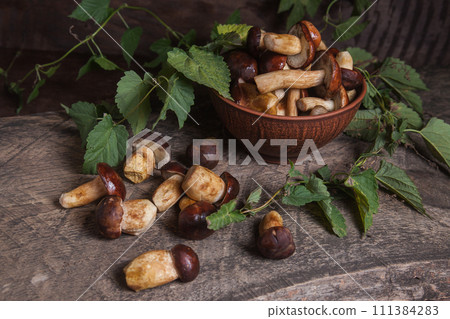 Pile of Imleria Badia or Boletus badius mushrooms commonly known as the bay bolete on vintage wooden background.. 111384283