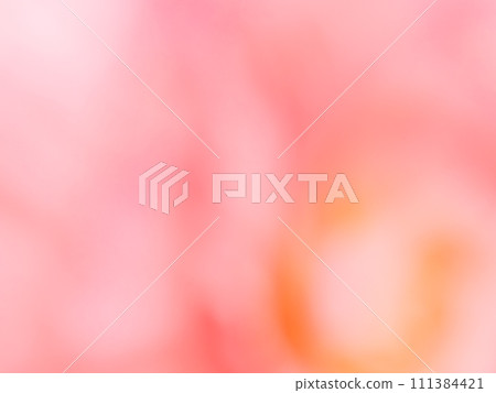 Background material: Soft background image with colorful flower petals as a motif 111384421