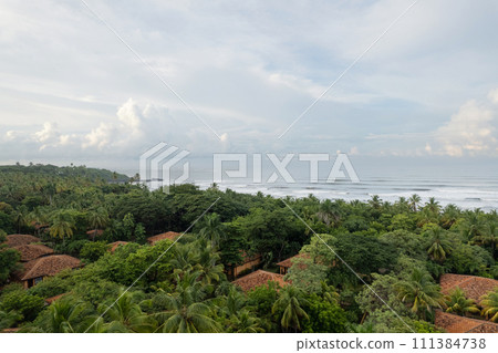 Villas tiled roof in jungle trees Villas tiled roof in jungle trees 111384738
