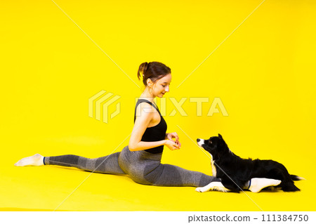Beautiful sport female with border collie in studio Beautiful sport female with border collie in studio 111384750