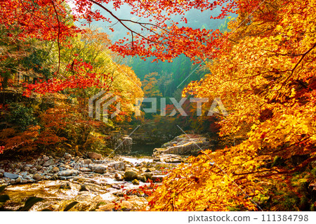 Okutsu valley in autumn Okutsu valley in autumn 111384798