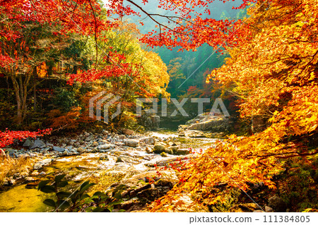 Okutsu valley in autumn Okutsu valley in autumn 111384805
