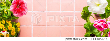 Flowers on pink tile background Flowers on pink tile background 111385634