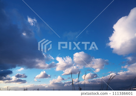 Winter sky Winter sky 111386601