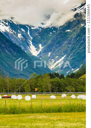 Bale of hay wrapped in plastic foil, Norway Bale of hay wrapped in plastic foil, Norway 111386645