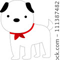 cute white dog walking 111387482