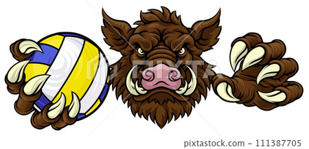 Boar Razorback Hog Volleyball Volley Ball Mascot 111387705