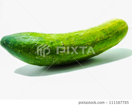 A picture of cucumber isolated on white background 111387785