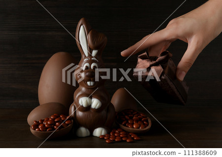 Chocolate eggs with a chocolate rabbit on a dark background 111388609