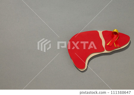 Paper liver on gray background, space for text 111388647