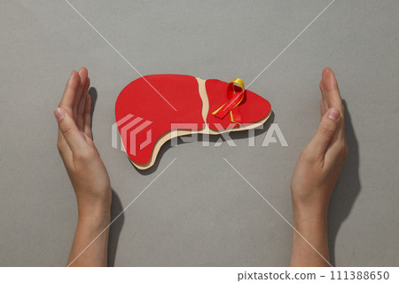 Paper liver and hands on gray background, top view 111388650