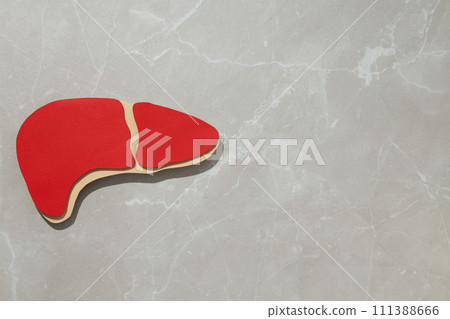 Paper liver on light background, space for text 111388666