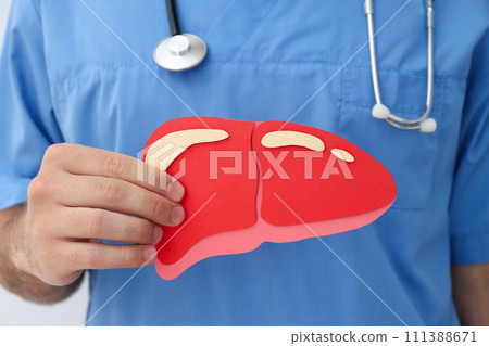 Paper liver in the doctor's hand on light background, close up 111388671