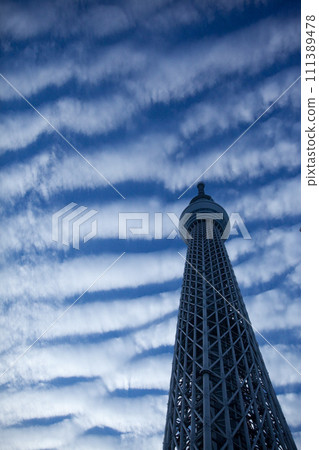 Clouds and sky tree 111389478