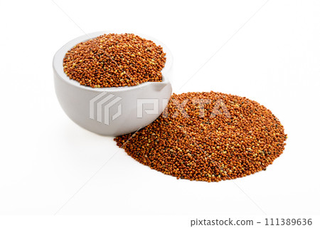 dried grains bird food. Red millet grain. dried grains bird food. Red millet grain. 111389636