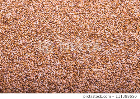 dried grains bird food. Canary grass seed. Background 111389650