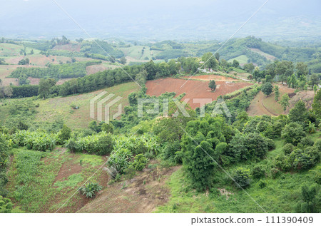 Aerial view landscape of plantation area and green trees on complicated hill in Nan province, northern of Thailand. Aerial view landscape of plantation area and green trees on complicated hill in Nan province, northern of Thailand. 111390409