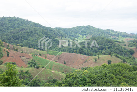 Aerial view landscape of plantation area and green trees on complicated hill in Nan province, northern of Thailand. Aerial view landscape of plantation area and green trees on complicated hill in Nan province, northern of Thailand. 111390412