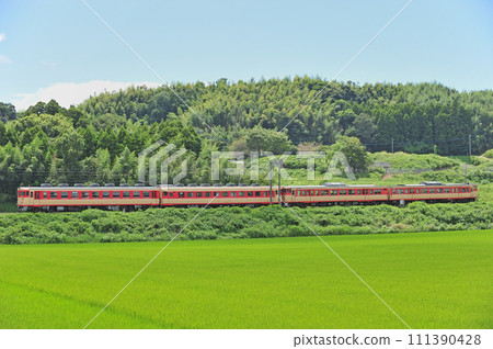 Kagoshima Main Line Higo Ikura-Konoha Kiha 65-36 + Kiha 58-569 + Kiha 66-1 + Kiha 67-1 Hikari 111390428