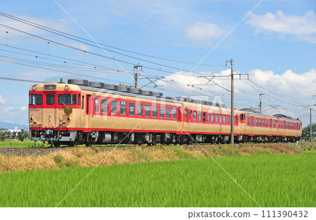 鹿兒島本線 瀨高~南瀨高 Kiha65-36+Kiha58-569+Kiha66-1+Kiha67-1 Hikari 鹿兒島本線 瀨高~南瀨高 Kiha65-36+Kiha58-569+Kiha66-1+Kiha67-1 Hikari 111390432