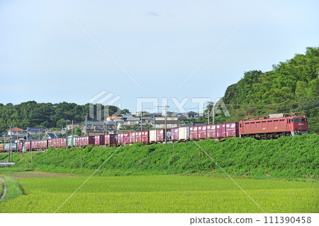 鹿兒島本線 東鄉～肥後福間 JR 貨運 EF81-302（門司） 111390458