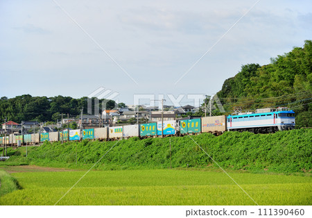 鹿兒島本線 東鄉～肥後福間 JR 貨運 EF81-451（門司） 111390460