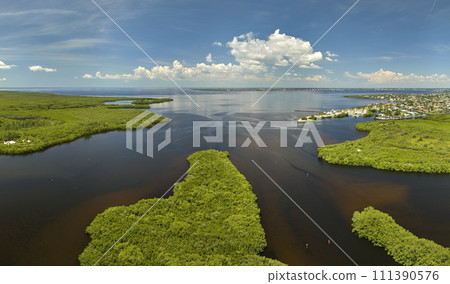 Overhead view of Everglades swamp with green vegetation between water inlets. Natural habitat of many tropical species in Florida wetlands Overhead view of Everglades swamp with green vegetation between water inlets. Natural habitat of many tropical species in Florida wetlands 111390576