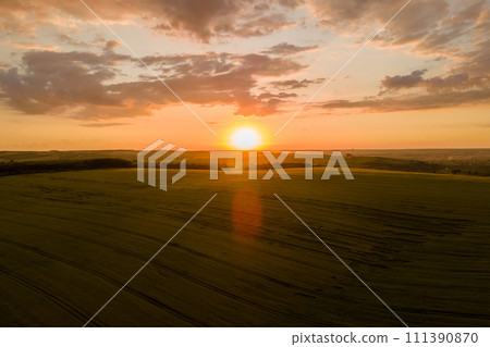 Aerial landscape view of yellow cultivated agricultural field with ripe wheat on vibrant summer evening 111390870