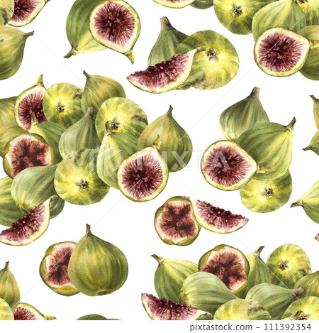A pile of ripe juicy green purple figs, picked whole fruit seamless pattern Food plant clipart for fabric label wallpaper packaging textile Hand drawn watercolor illustration Isolated white background A pile of ripe juicy green purple figs, picked whole fruit seamless pattern Food plant clipart for fabric label wallpaper packaging textile Hand drawn watercolor illustration Isolated white background 111392354