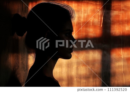 Silhouette of woman's head with with minimal details Silhouette of woman's head with with minimal details 111392520