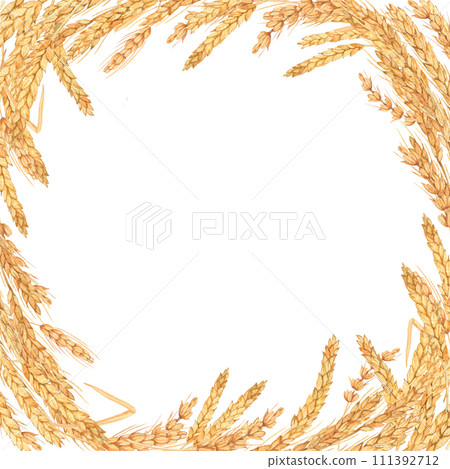 Frame border with wheat spikelets hand drawn in watercolor on a white background. Hand drawn botanical illustration. Ideal for greeting card, wedding invitation, book cover, save the date template Frame border with wheat spikelets hand drawn in watercolor on a white background. Hand drawn botanical illustration. Ideal for greeting card, wedding invitation, book cover, save the date template 111392712