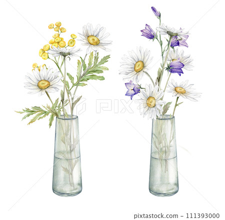 Watercolor Daisy and bluebell. Hand drawn illustration of Chamomile and little violet bell. Tansy in glass jar. bouquet of white blossom flowers on isolated background. Drawing botanical wildflowers. 111393000