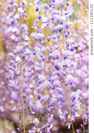 Fuji 1026 Fuji 1026 111395220