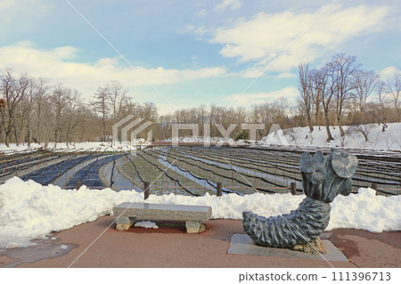 Azumino Daio wasabi farm of winter Azumino Daio wasabi farm of winter 111396713