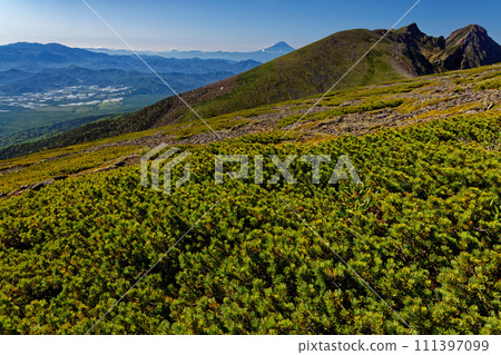 View of Mt. Fuji, Okuchichibu, Yokodake, and Akadake from Mt. Iodake in the Yatsugatake Mountain Range 111397099