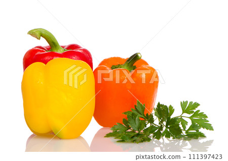 Vegetables 111397423
