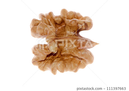 Unshelled nut Unshelled nut 111397663