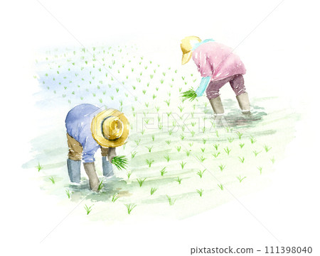 一對夫婦種植水稻的水彩畫 111398040