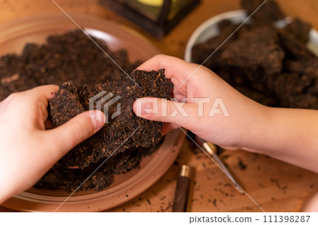 Tea ceremony: breaking up pressed pu-erh tea with a tea knife for brewing Tea ceremony: breaking up pressed pu-erh tea with a tea knife for brewing 111398287