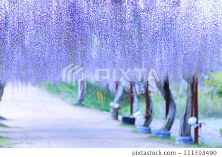 Fuji 997 Fuji 997 111398490