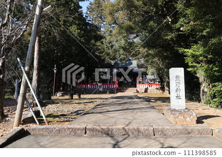 早春的山口熊野神社 111398585