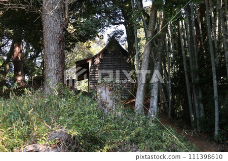 早春的山口熊野神社 早春的山口熊野神社 111398610