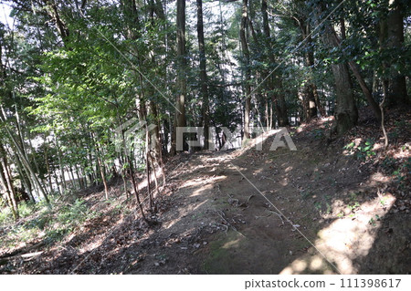 Yamaguchi Kumano Shrine in early spring 111398617