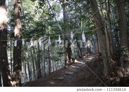 早春的山口熊野神社 111398618