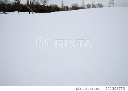 關東地區的大雪，荒川河床的冬季模式，雪景 111398753