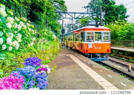 Hakone Tozan Railway Hydrangea Train (Miyanoshita Station) 111398796