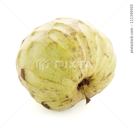 Fresh Custard Apple 111399305