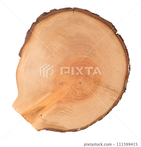 Wood log slice 111399415